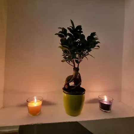 G.s House Apartament *